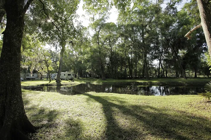 Clover Leaf Forest RV Resort Picture 7