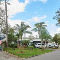 Clover Leaf Forest RV Resort ico