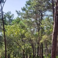 Eastern Lake Campground 1 ico