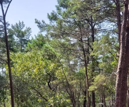 Eastern Lake Campground 1