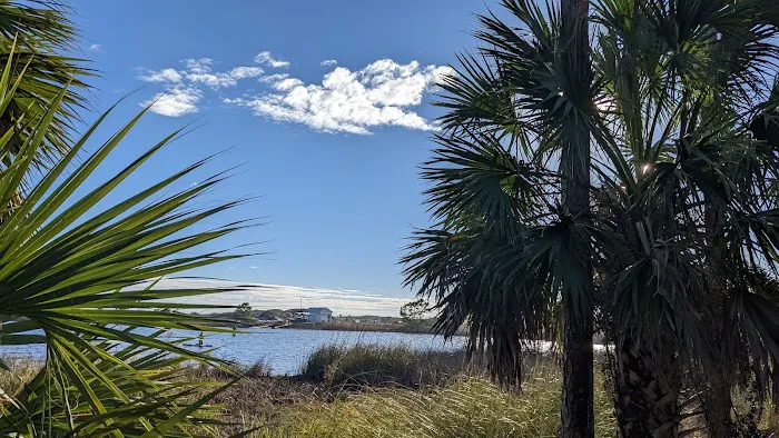 Camp Grayton Beach State Park Campground Picture 2