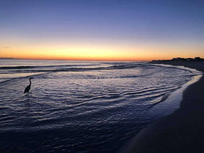 Camp Grayton Beach State Park Campground Picture 4
