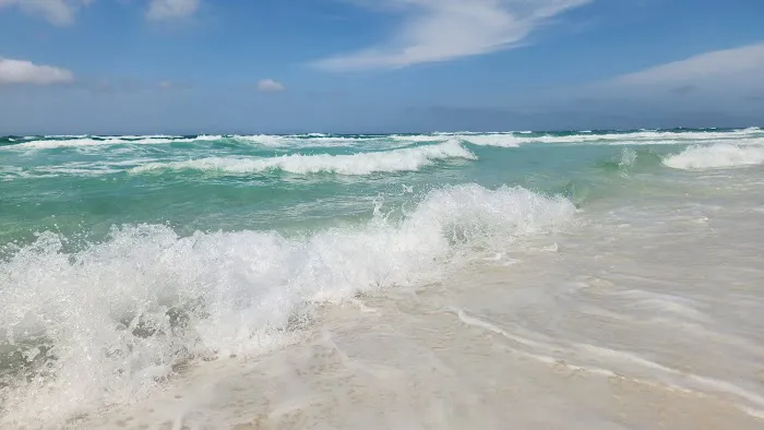 Topsail Hill Preserve State Park Cabin Loop Picture 2