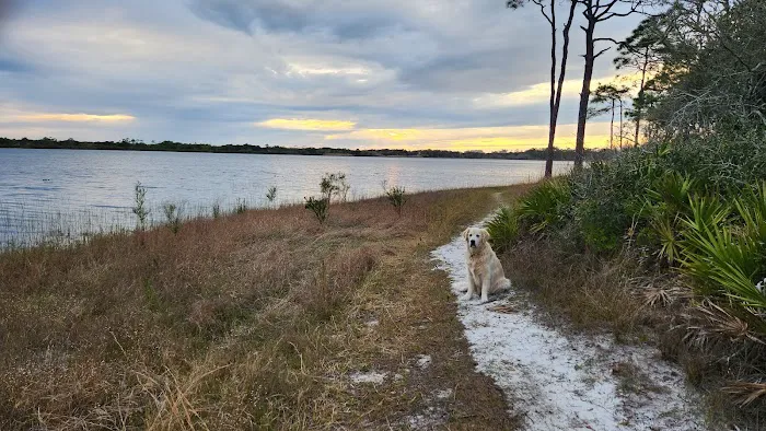Topsail Hill Preserve State Park Cabin Loop Picture 8
