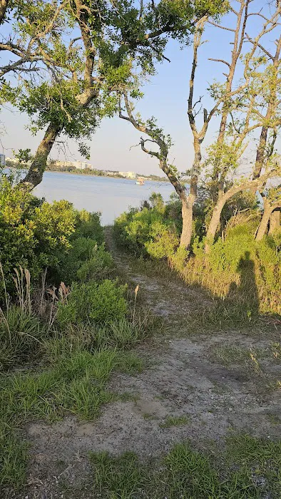 St Andrews State Park Campground Picture 8