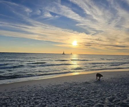 St Andrews State Park Campground
