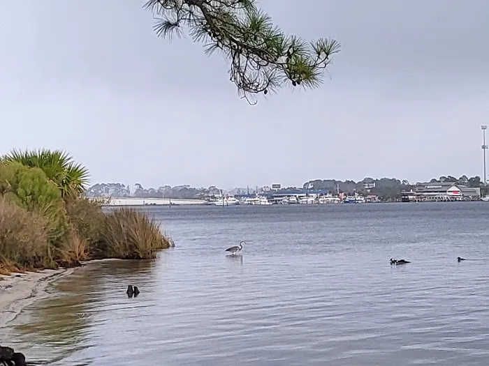 Camping Area at St Andrew's State Park Picture 1