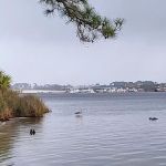 Camping Area at St Andrew's State Park