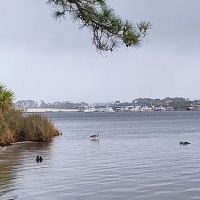 Camping Area at St Andrew's State Park ico