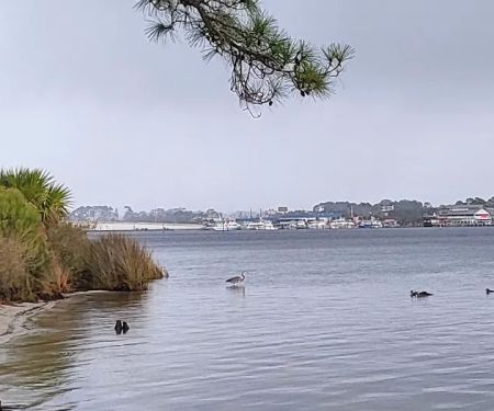 Camping Area at St Andrew's State Park