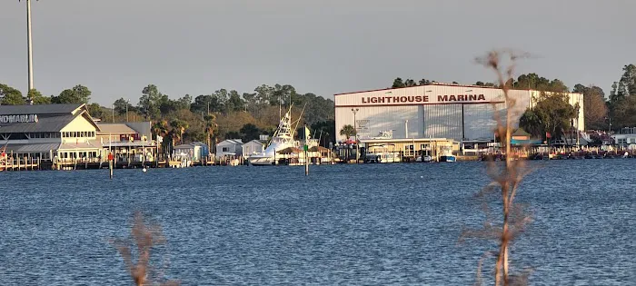 Camping Area at St Andrew's State Park Picture 2