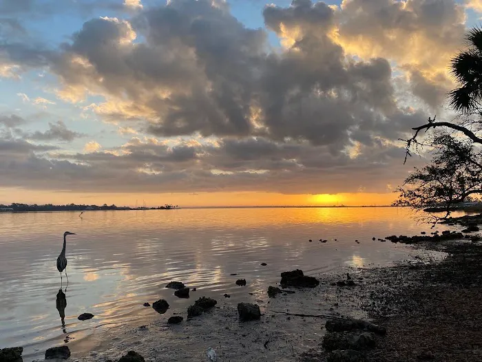 Camping Area at St Andrew's State Park Picture 9