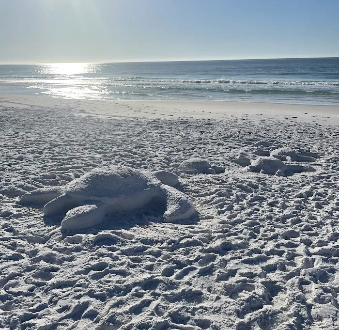 Camping on the Gulf Picture 12