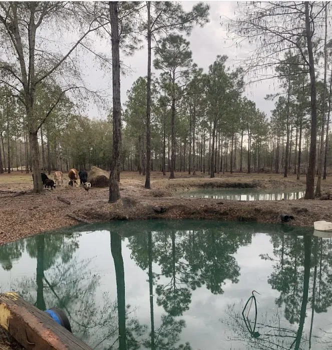 River Run RV Campground Bonifay Picture 1