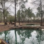 River Run RV Campground Bonifay