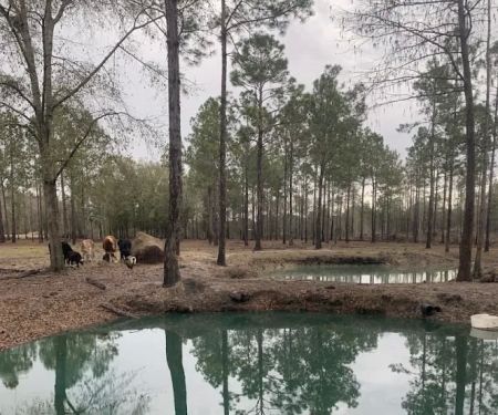 River Run RV Campground Bonifay