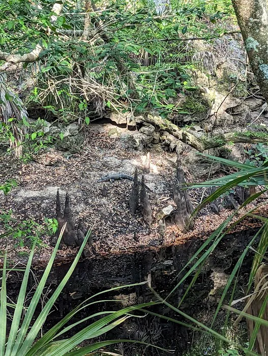 Goose Pasture Campground Picture 4