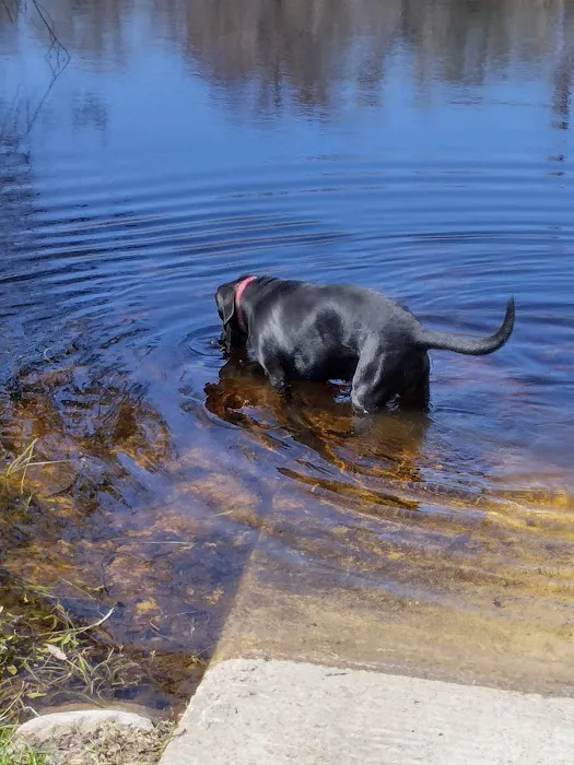 Goose Pasture Campground Picture 8