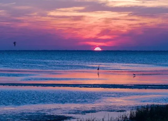 The Crab Claw Picture 8