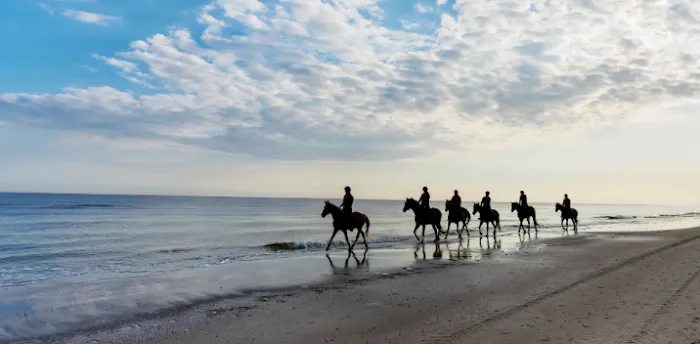 The Crab Claw Picture 7