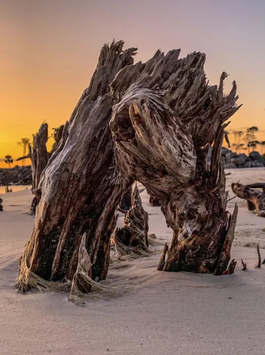 The Crab Claw Picture 10