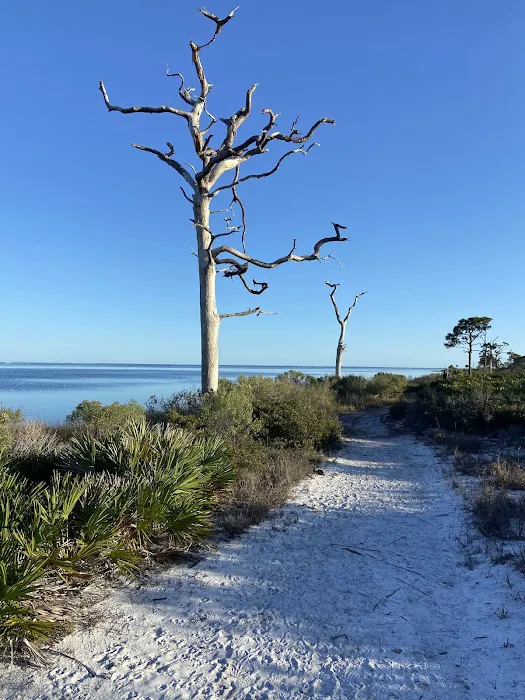 St Joseph Peninsula Campground Picture 2