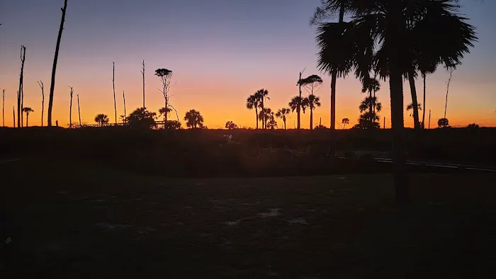 St Joseph Peninsula Campground Picture 6