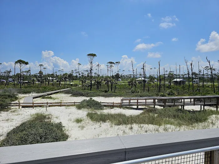 St Joseph Peninsula Campground Picture 9