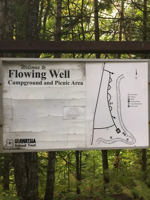 Flowing Well Campground Picture 9