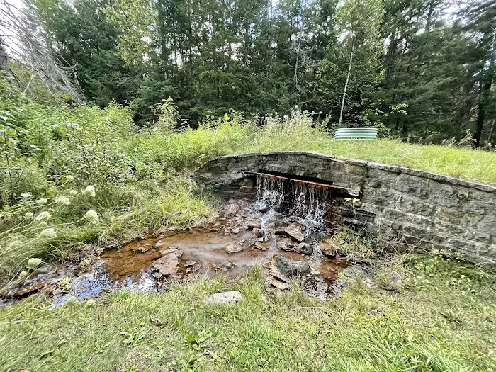 Flowing Well Campground Picture 6