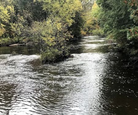 Flowing Well Campground