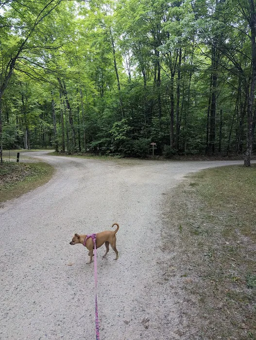 Indian Lake West Shore Campground Picture 7