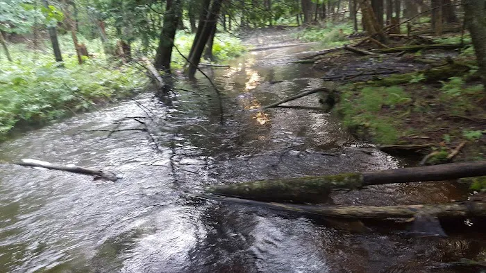 Indian Lake West Shore Campground Picture 10