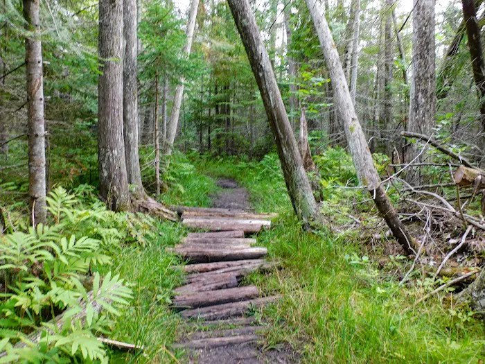 Indian Lake Campground Picture 15