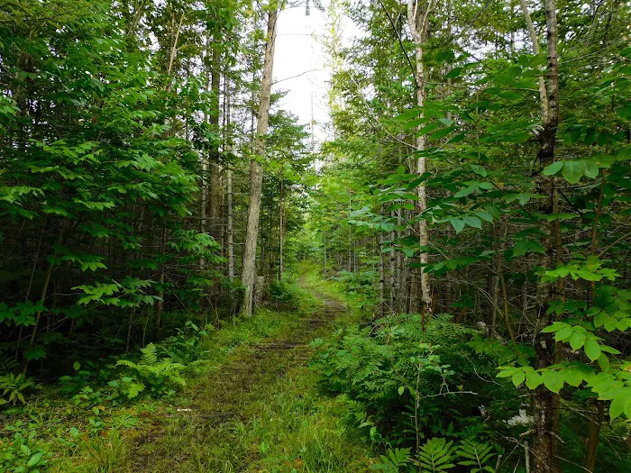 Indian Lake Campground Picture 19