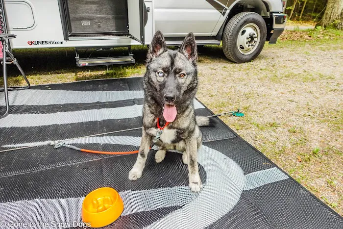 Little Bay de Noc Campground Picture 3