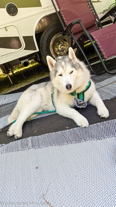 Little Bay de Noc Campground Picture 8