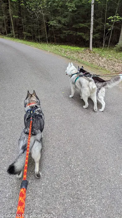 Little Bay de Noc Campground Picture 5