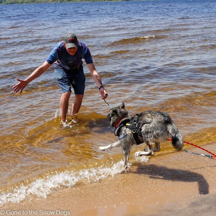 Little Bay de Noc Campground Picture 4