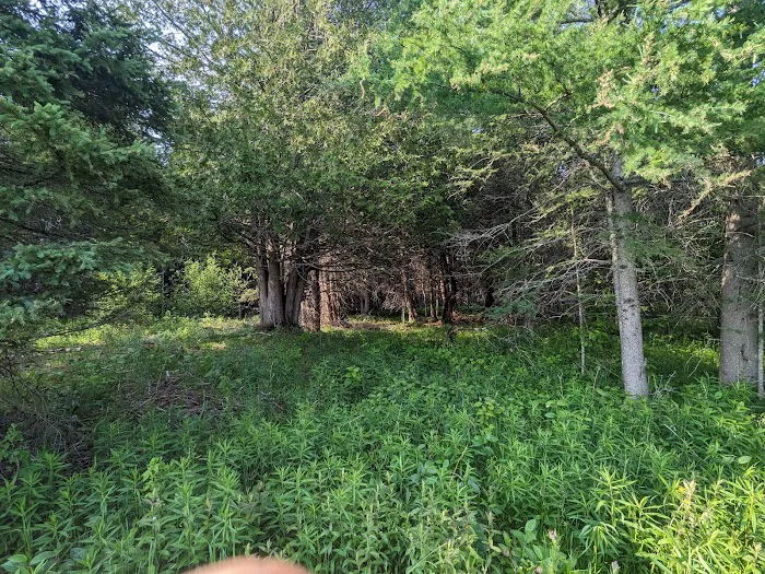 Cedar Creek Cabin Picture 1