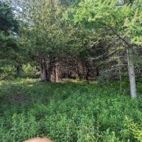 Cedar Creek Cabin ico