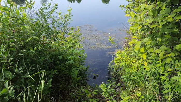 Nahma Resort Campground Picture 2