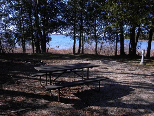 Weborg Point Campground Picture 4