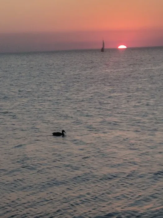 Weborg Point Campground Picture 7