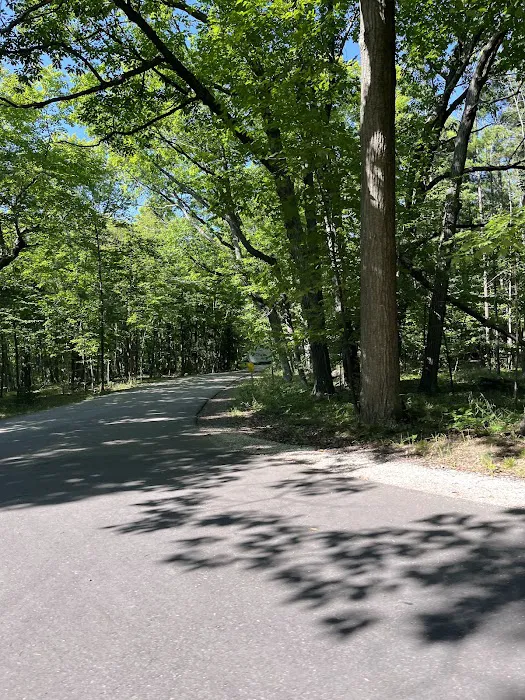 Tennison Bay Campground Picture 8