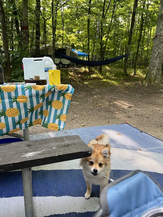 South Nicolet Bay Campground Picture 10