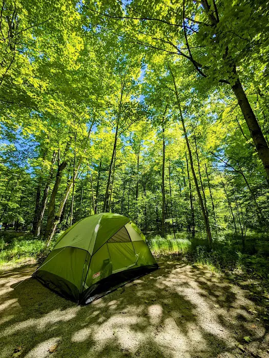 Welckers Point Campground Picture 2