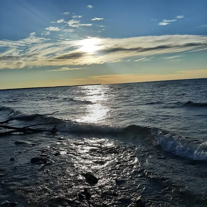 Welckers Point Campground Picture 8