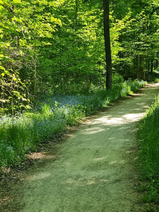 Welckers Point Campground Picture 7