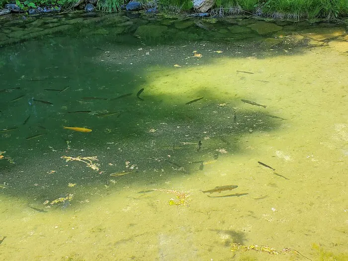 Aqualand Campground Picture 9